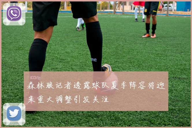 森林狼记者透露球队夏季阵容将迎来重大调整引发关注